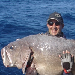 charter fishing, hapuka, bluenose, marlin