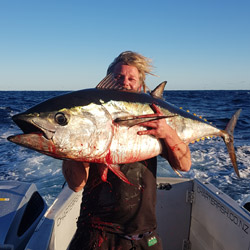 fishing charters bay of plenty, bluefin tuna, sea bass